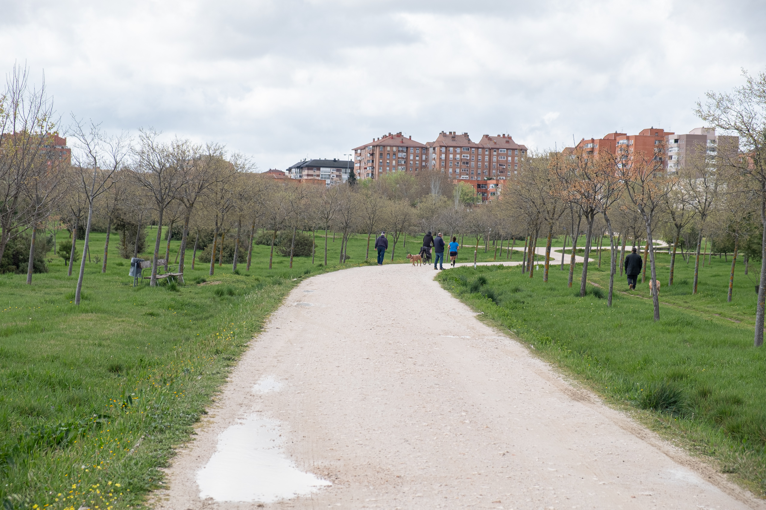 Radweg durch den Stadtpark – auf dem Weg aus Madrid